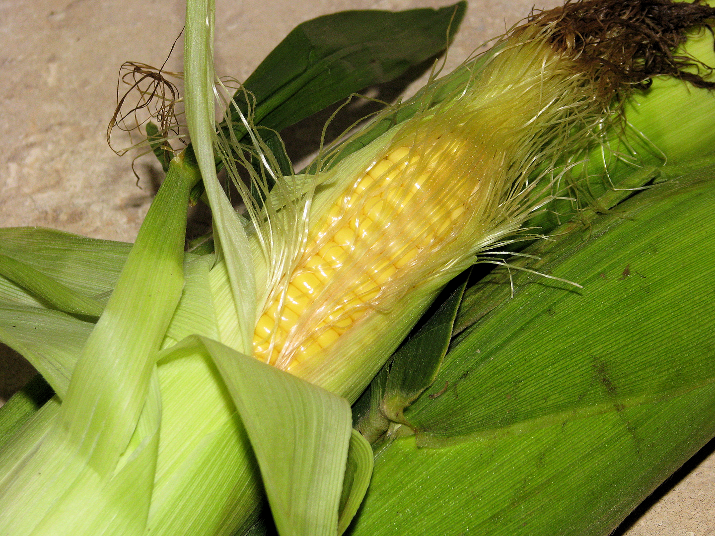 Mexican Cheesy Corn Big Bear's Wife